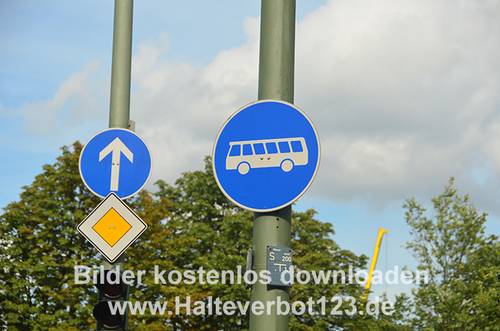 Verschiedene Verkehrszeichen Linienomnibusse, Hauptstraße, Fahrtrichtung geradeaus an Beleuchtungsmasten