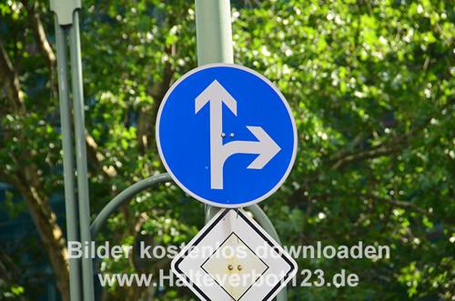 Vorschriftzeichen vorgeschriebene Fahrtrichtung - geradeaus und rechts mit darunter angebrachtem Hauptstraßenschild