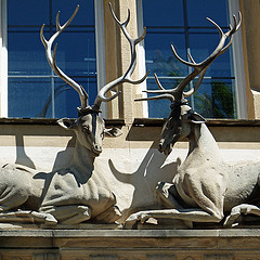 Schloßportal, Göppingen