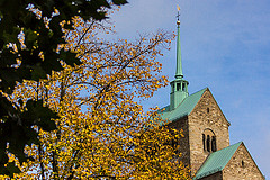 Minden Blick zum Dom