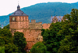 Schloss Heidelberg - Torturm