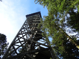 Roethenbach Aussichtsturm