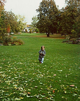 Kurpark Bad Duerckheim