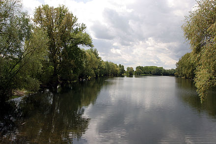 Lampertheim - Biedensand